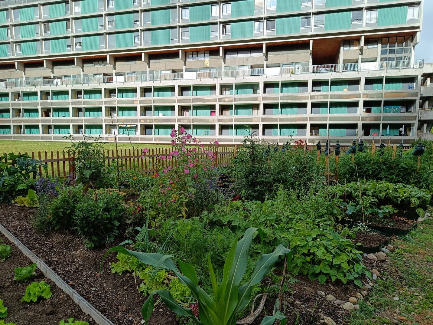 Nachbarschaftsgarten 2.jpg